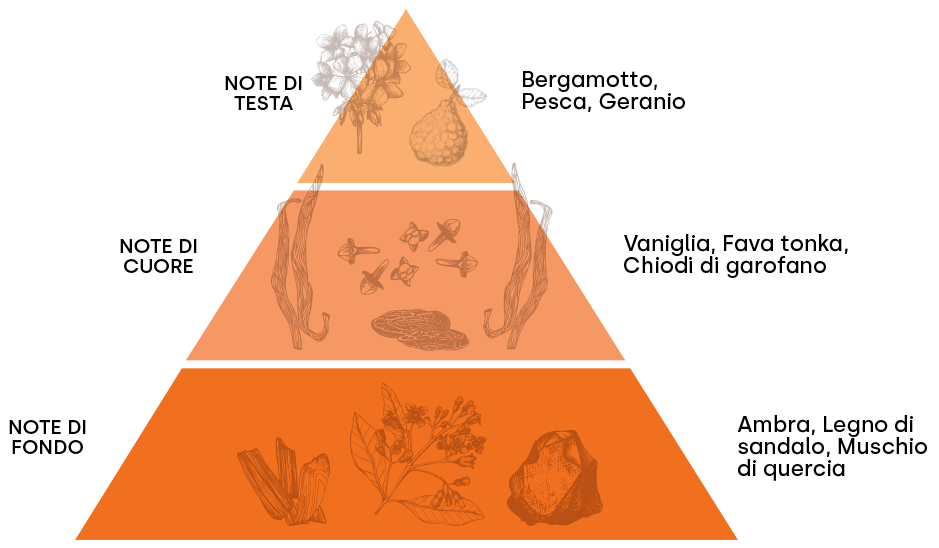 піраміда аромату Олії GUAM Дрен  